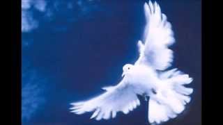 PALOMMA E NOTTE     ARTISTI VARI     COVER   LIDIA  BONOMO