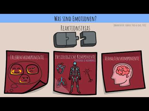 1  Was sind positive Emotionen im Sport?