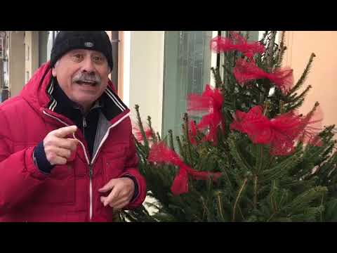 Gli Auguri di Piero Focaccia