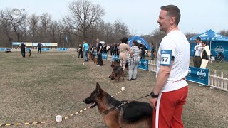 Димитровград ще бъде домакин на киноложка изложба