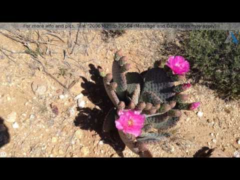 Priced at $29,999 - 13 Cattle Chute Pass, Kingman, AZ 86401