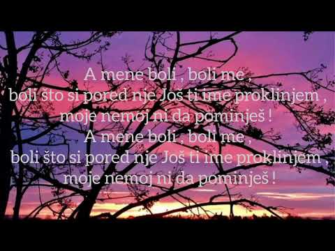 BRESKVICA X VOYAGE - BEZIMENA (TEKST)