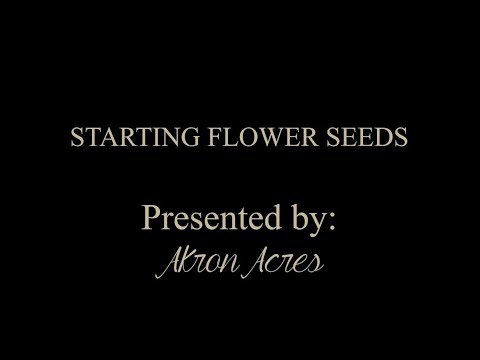 Farming on Friday: Seeding Flowers