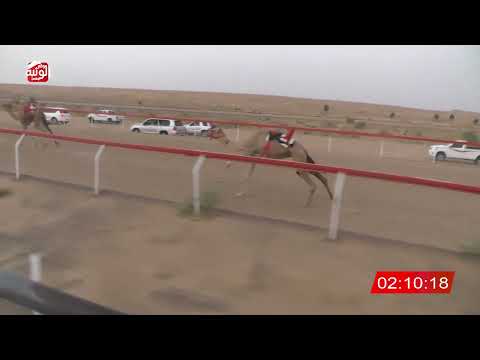  ش 1 (زياره) لـ علي سالم بن ظفيره العامري 6:43 ، مهرجان العين 2026/08/09 حول وزمول الجبيب