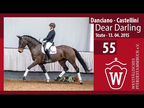 55 Dear Darling Stute v. Danciano - Castellini