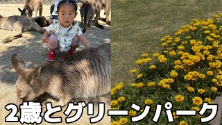 グリーンパークでカンガルーに触りまくるの巻🦘