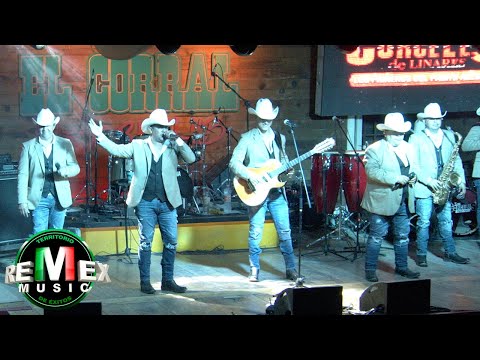 Miniatura de La Boda del Huitlacoche (En Vivo)