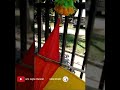 Pesona Dewi Persik Siap Konser Di Udara