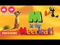 M Is For Meerkat A To Z Animal Adventures Fun Animal Facts For Kids Kids Video For Kids