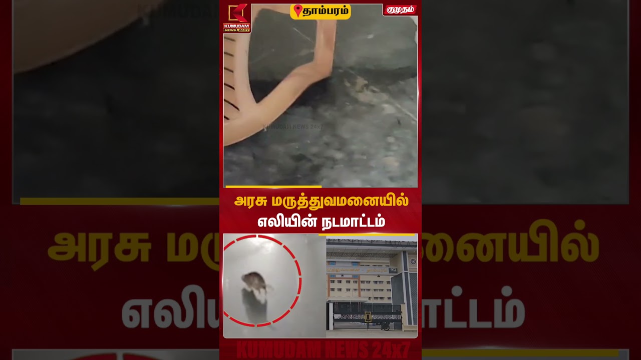 தாம்பரம் அரசு மருத்துவமனையில் எலிகள் நடமாட்டம்... நோயாளிகள் அவதி! #Tambaram #ChennaiNews