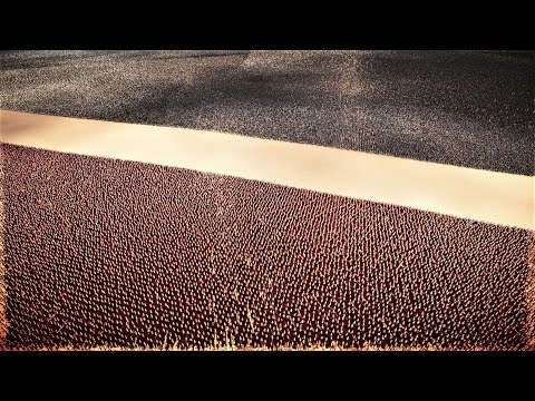 600,000 Persians Vs Orcs | Ultimate Epic Battle Simulator 2 | UEBS2