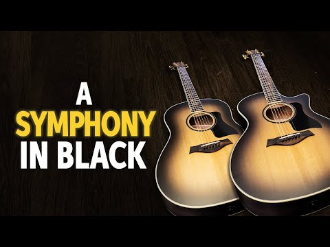 Taylor Limited-edition Acoustic-electrics | Transparent Black with Special Ebony Fingerboard
