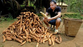 PRIMITIVE SKILLS; Harvesting process & Preserve cassava in a traditional, long-term way