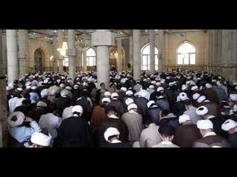 ⁣هل أسّس الشیخ الطوسي حوزةً فی النجف لنصرة إمام زماننا ؟؟