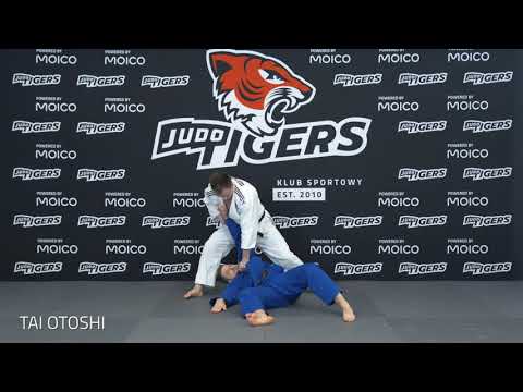 Judo Tigers - Egzamin na 5 kyu (żółty pas)