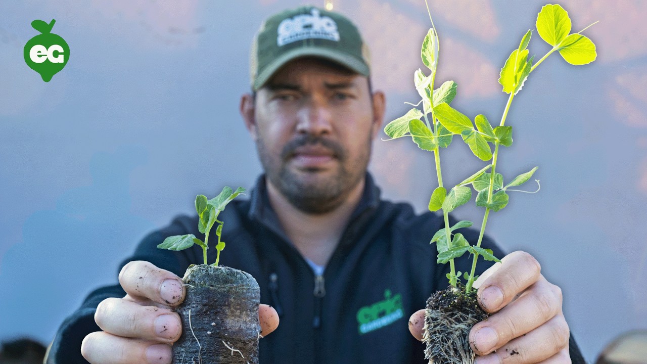 We Tested 8 Seed Starting Mixes, Here's What We Learned