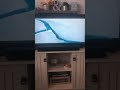 Happy Feet Two Freeform Intro NO COPYRIGHT INFRINGEMENT INTENDED