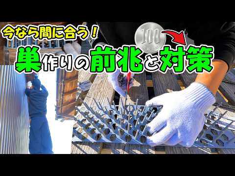 youtube-動物記事1970/01/01 09:00:00