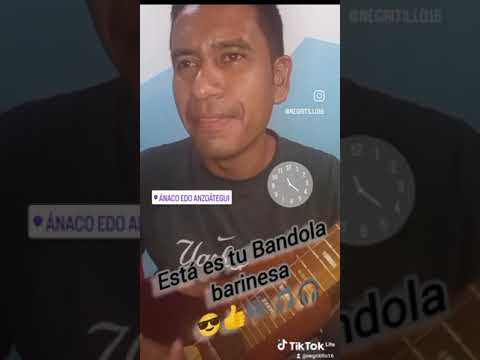 EL PALITO DE MEREY (NEGRITILLO)