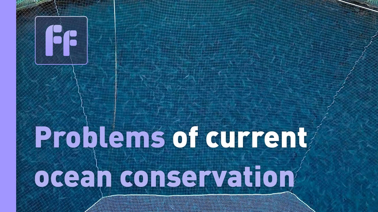 Problems of current ocean conservation