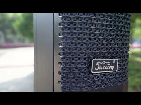 Демонстрация акустической системы Soundking ARTOS-1200
