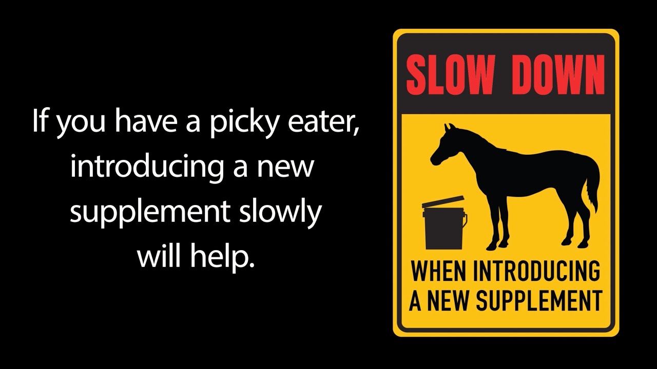 Tips for the Picky Eater, Presented by Kentucky Performance Products