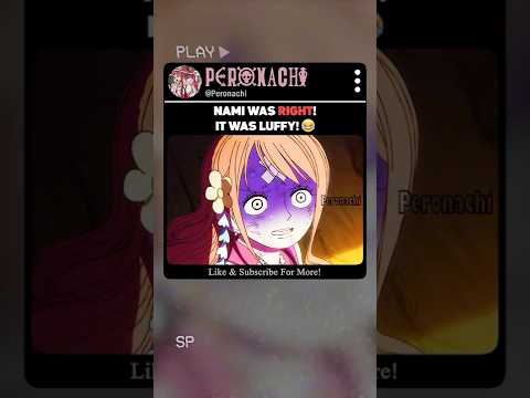 Nami Was Right! It Was Luffy! 🤣