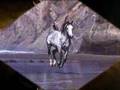 Vysotsky «Кони привередливые» (Capricious horses) 
