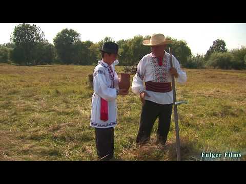 ION PANUS NEPOTEII-(oficial-video)