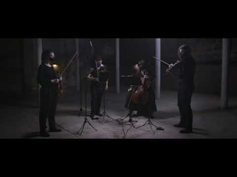 Caroline Shaw: Plan & Elevation -The Beech Tree