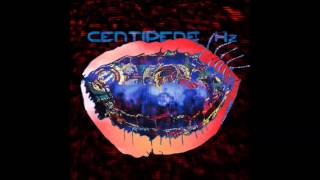 animal collective - applesauce