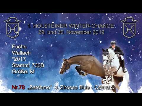 1. Holsteiner Winter-Chance | Nr. 78 Zatchmo