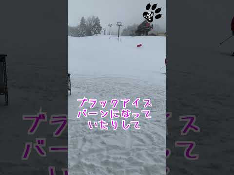 【志賀高原熊の湯スキー場】2021.12.22(水)新雪3cmの様子/memeさんレポート/#Shorts