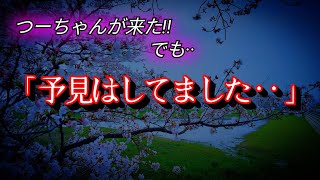 【座敷童子ンち】お盆！現状を見たつーちゃんの言葉が重い……【まるで世にも奇妙な物語】ユーチューバー、幽霊、パワースポット、オカルト、ホラー、怪談、物語、スピリチュアル、座敷わらし、パワースポット