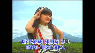 Download lagu Mega Utami - Naik-naik Ke Puncak Gunung mp3