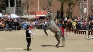 preview picture of video 'Festa Medieval en Canyadó -Badalona-'