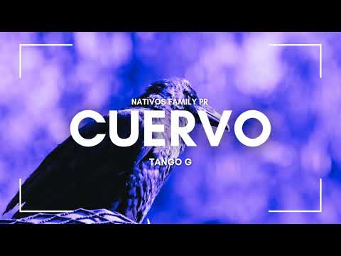 [Free] Beat "Cuervo" Drill Type (prod Tango G)