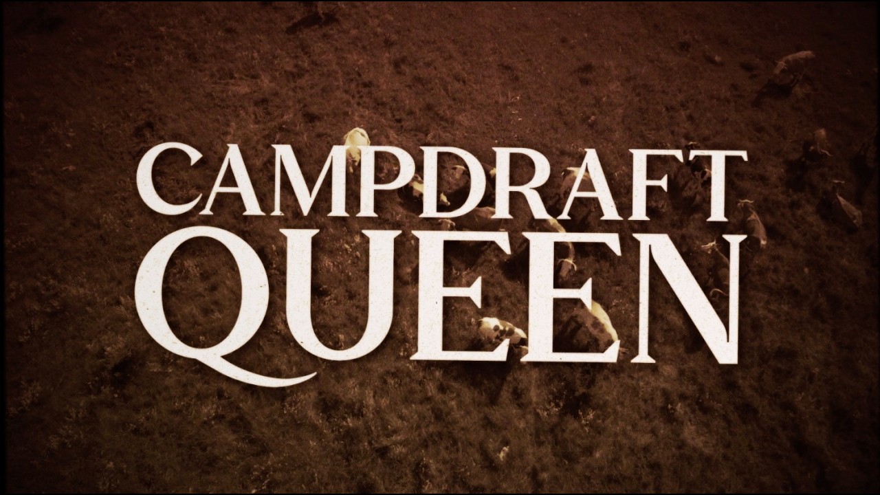 Campdraft Queen thumbnail