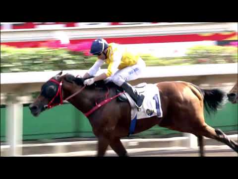 29/11/2020 (223) Super Alliances - N Callan