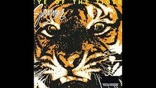 Download lagu Eye Of The Tiger Survivor... mp3