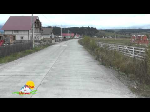 Hoinar in Bucovina Poiana Stampei