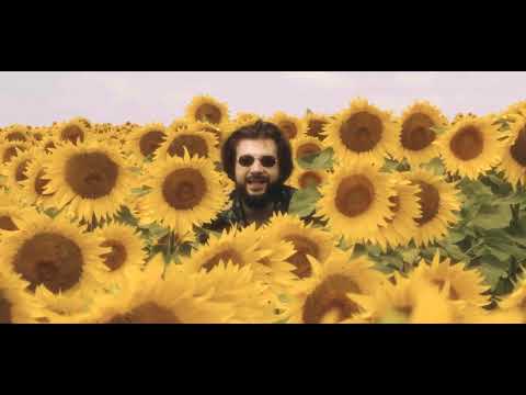 MATEMATIC - Sunshine