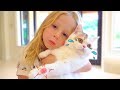 Stacy and the best cat stories for kids Stacy and the best cat stories for kids
