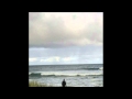 Rivulets - Sheep Among Wolves 