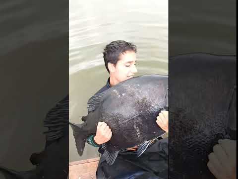 João do mergulao de Minas Gerais pescador profissional