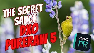 Master Your Photo Editing - What's the Secret Sauce? (My Complete Process) - Featuring DXO PureRaw
