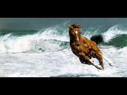 Kuljit Singh Live Stream