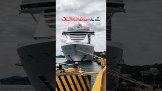 🤯👆#viewersloverviews #mscseascape #cruise #cruiseship #shorts #vlog #travel #vacation #2026