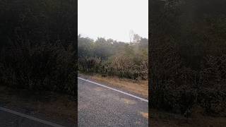 Download lagu Akele Hum Akele Tum | Hindi Full Movie | Aamir Khan | Manisha Koirala | Master Adil | Romantic Movie mp3