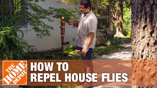 How to Keep Flies Away and Prevent Flies in Your House